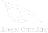 Ridegell Consulting